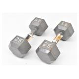 (2) 25 lb Dumbbell / Barbells Cast Iron