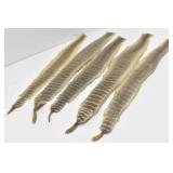 (5) Snake Skins / Rattlesnake Skins