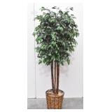 Faux Fig Tree 83" Tall in Wicker Basket