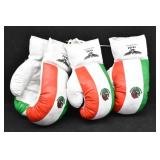 (2)18oz Mexican flag eagle boxing gloves.
