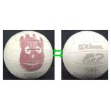 Wilson "Cast Away" Replica Volleyball, Modeled