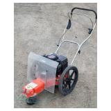 Trimmer Mower Briggs & Stratton Quantum Power *