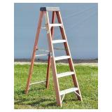 WERNER Electro-Master 6' Step Ladder