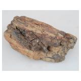 Petrified Wood Rock