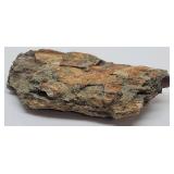 Petrified Wood 13" x 4", 11.686 lbs