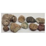 Geological Specimens, Rock Nodules, Fossils