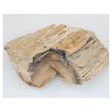 Petrified Wood Rock