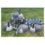 (24) Magnum Size Goose Field Decoys / Shells