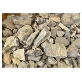 Petrified Wood 13.25 lbs. Small Pieces