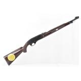 Remington Nylon 66 22 LR Rifle w/ Zytel Stock