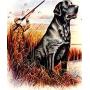 August 12th, Sporting Goods, Tools - General Auction