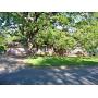 ESTATE & REAL ESTATE AUCTION