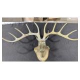 Large decorative wall hanging deer display