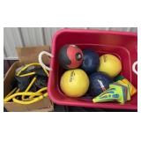 Medical exercise Balls  and tote