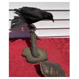 Raven figurine/turtle shell