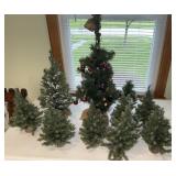 Large amount of miniature Christmas tree trees