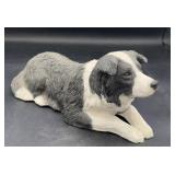 Border collie black-and-white