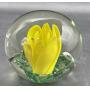 St Clair paperweights,Quilts,Carnival glass, Antiques,Hall