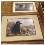 Black lab dog pictures