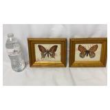 Vintage Butterfly Framed Prints - 7.75" x 6.5