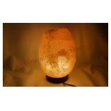 Himalayan Salt Lamp - Powers On