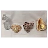 Hawaiian Blowing Shell, Barnacle Cluster & Shell