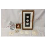 Framed Seashell Art & Natural Sand Dollars