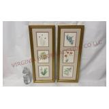 Matted & Framed Botanical Prints - Pair - 9"x23.5"