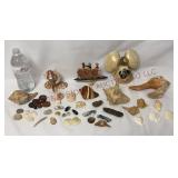 Vintage Beach Art & Seashells / Sea Shells