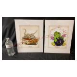 Critical Critters Collection by Jacob Walker Art