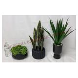 Model Home Decor - Artificial Plants - 3