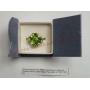 Autumn Alexite, White Topaz Ring ~ Plat / Sterling