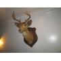 ANTIQUE CONSIGNMENT AUCTION
