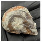 Ammonite chalcedony red agate carved stone skull