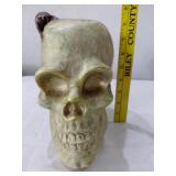 1970s Halloween chalkware LIFE SIZE skull w rat