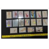 18 risque trading cards c1990s