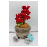 New Hug Me Poinsettia Plant