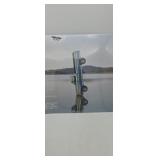 Post Malone F 1000000000000 Vinyl