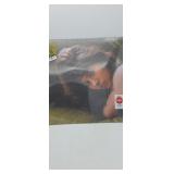 Clairo Charm Album Clairo Vinyl