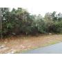 2880 ELKCAM BLVD.DELTONA Florida 32738 Vacant Land