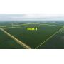 September 26, 2022 @1:30 P.M.--Live Onsite Farmland Auction Of 160+/- Acres Of Rock TWP, Pipestone County, MN Farmland