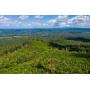 309± Acres of Prime Real Estate Rydal Community, Bartow Co, GA Auction