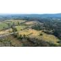72± Acres with Beautiful Pastures and Chickamauga Creek Frontage Rock Springs, Walker Co, Ga Auction