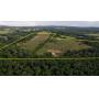 100± acres with Pastures, (2) Ponds, and Barn | Boaz, Marshall County, AL Auction