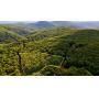 3.51±-acre Luxury Mountain Estate | Ellijay, Gilmer County, GA Online Auction