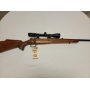Firearm Auction