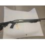 Gun Auction