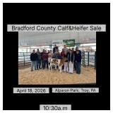 Bradford County Calf 