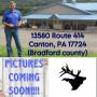 Firearms / Ammo / Hunting Auction