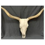 Awesome Large Steer Cow Skull With Horns